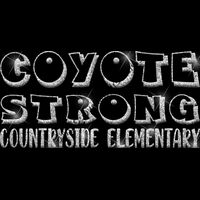 GLT97 SILVER GLITTER Thumbnail