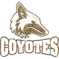 GLT32 GOLD GLITTER Thumbnail